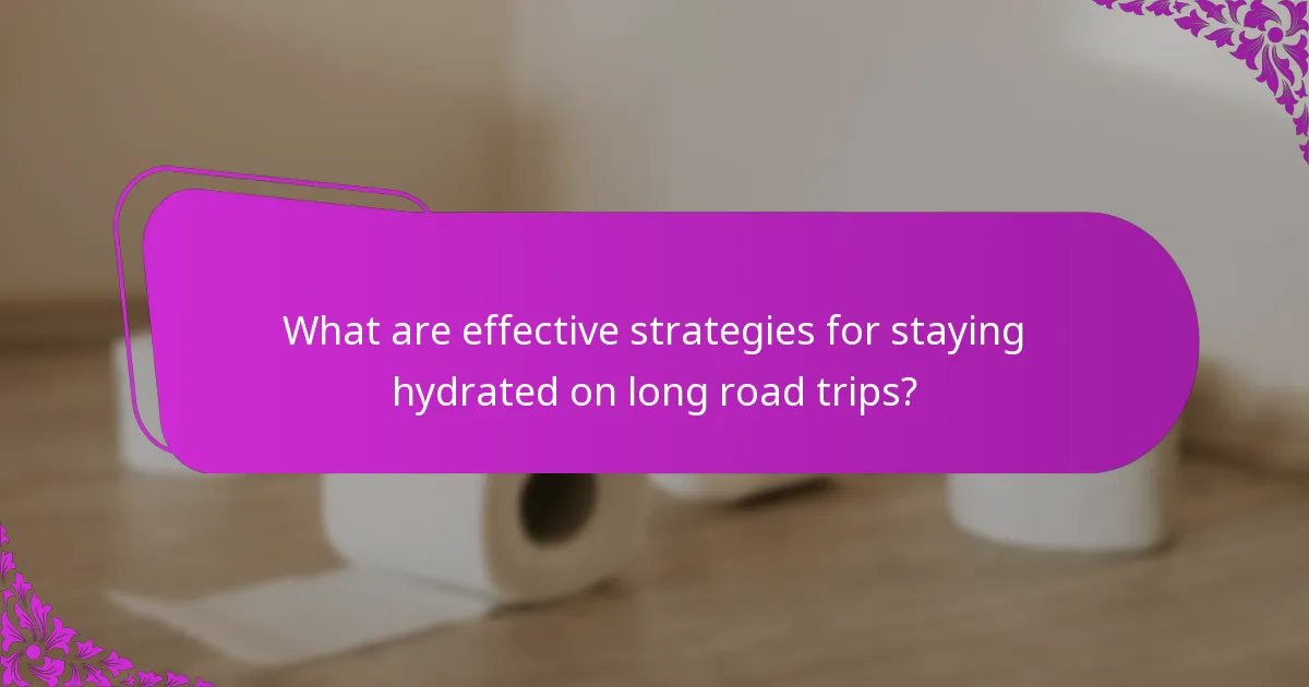What are effective strategies for staying hydrated on long road trips?