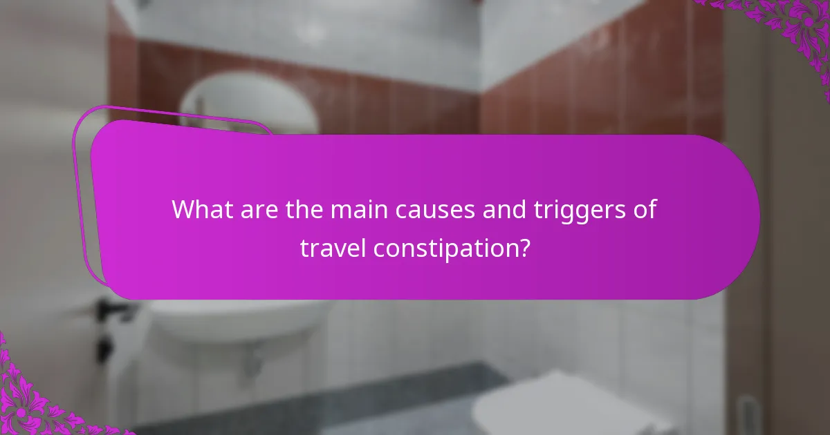 What are the main causes and triggers of travel constipation?